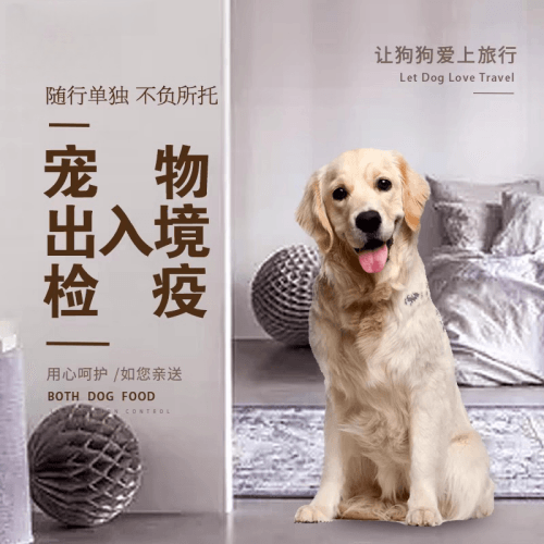 枣庄市宠物托运到哥伦比亚猫狗宠物入境规定和