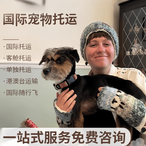 枣庄市国际宠物托运到阿根廷宠物入境规定和要