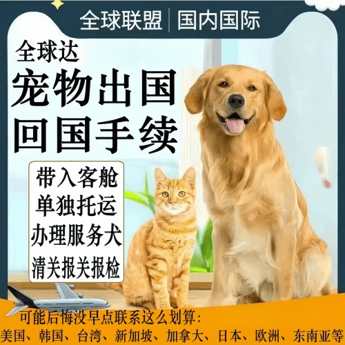 枣庄市宠物托运到柬埔寨宠物入境规定和要求