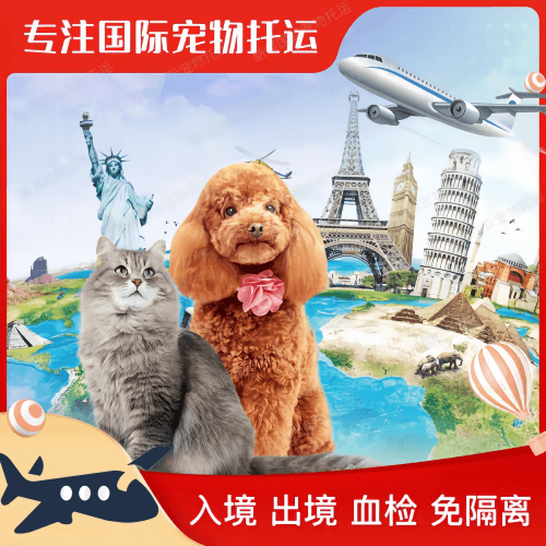 枣庄市宠物托运到美国宠物入境最新规定和要求