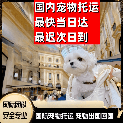 枣庄市到澳大利亚（澳洲）宠物入境规定和要求