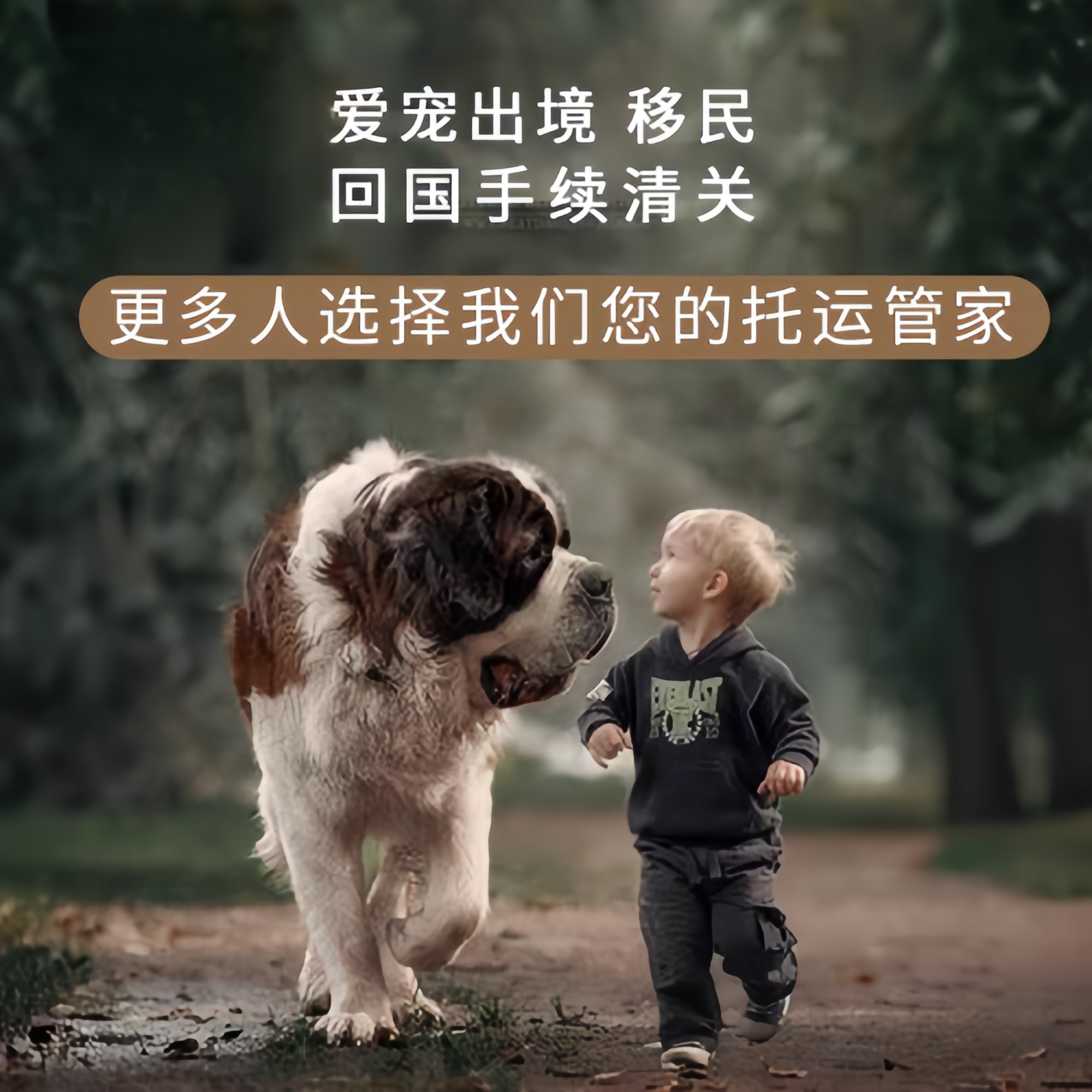 满财枣庄市宠物全球达宠物托运在遵守入境目的地政策的条件