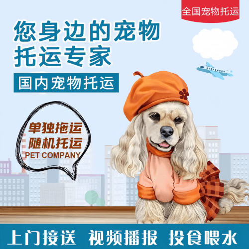 满财枣庄市宠物全球达宠物托运作为专业的宠物运输代理机构